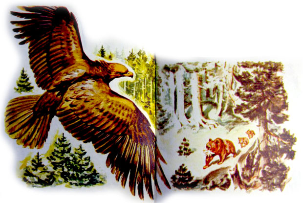 قصه کودکانه ماجرای سه بچه خرس-داستانهای مصوّر رنگی برای کودکان -ارشیو قصه و داستان ایپابفا